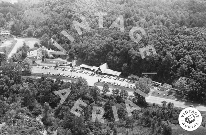 Prehistoric Forest - Vintage Aerial